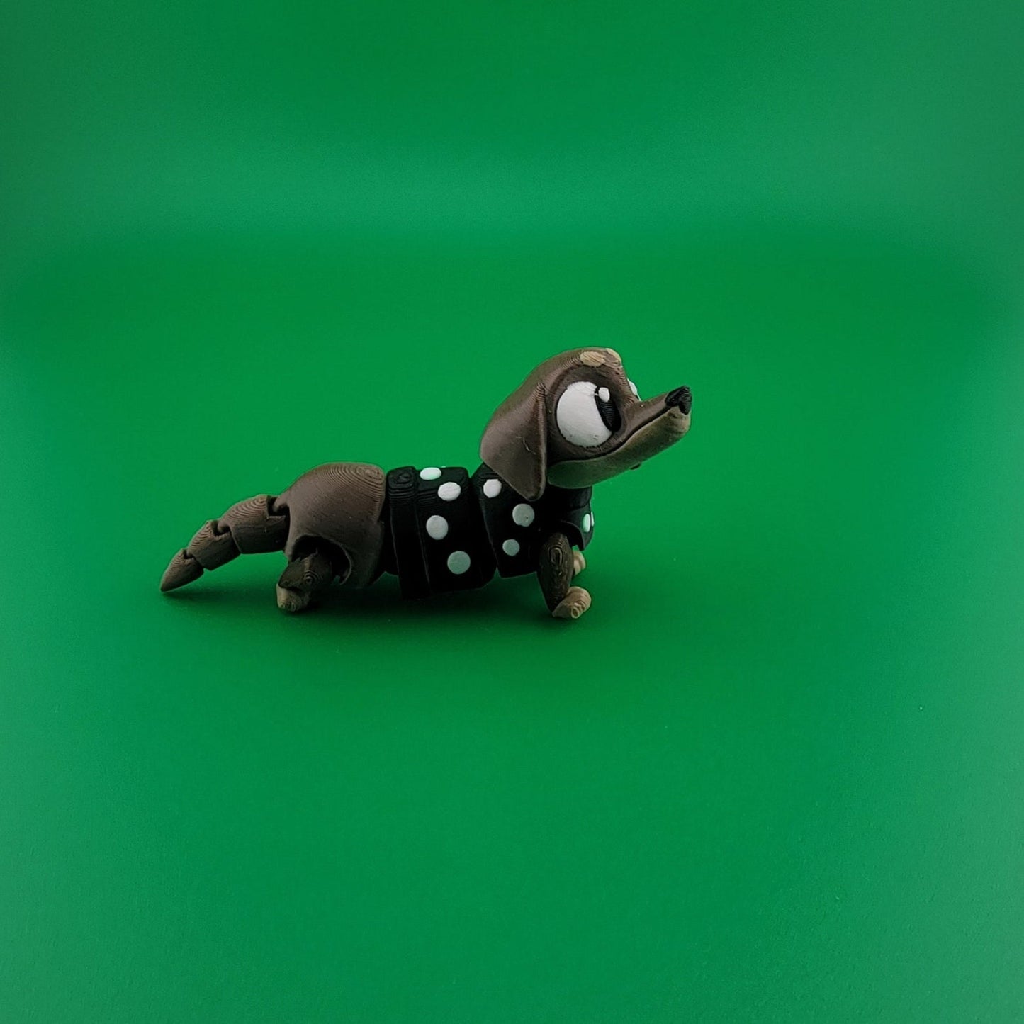 Brown Dog Black Sweater Standing