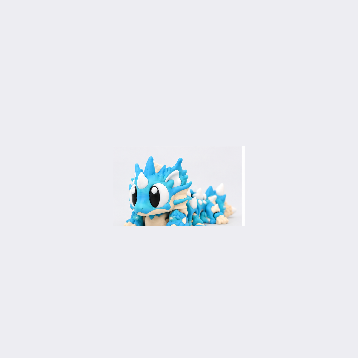 Sea Shell Dragon