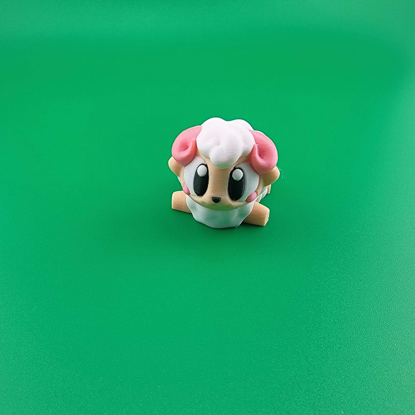 Plain Sheep facing forward